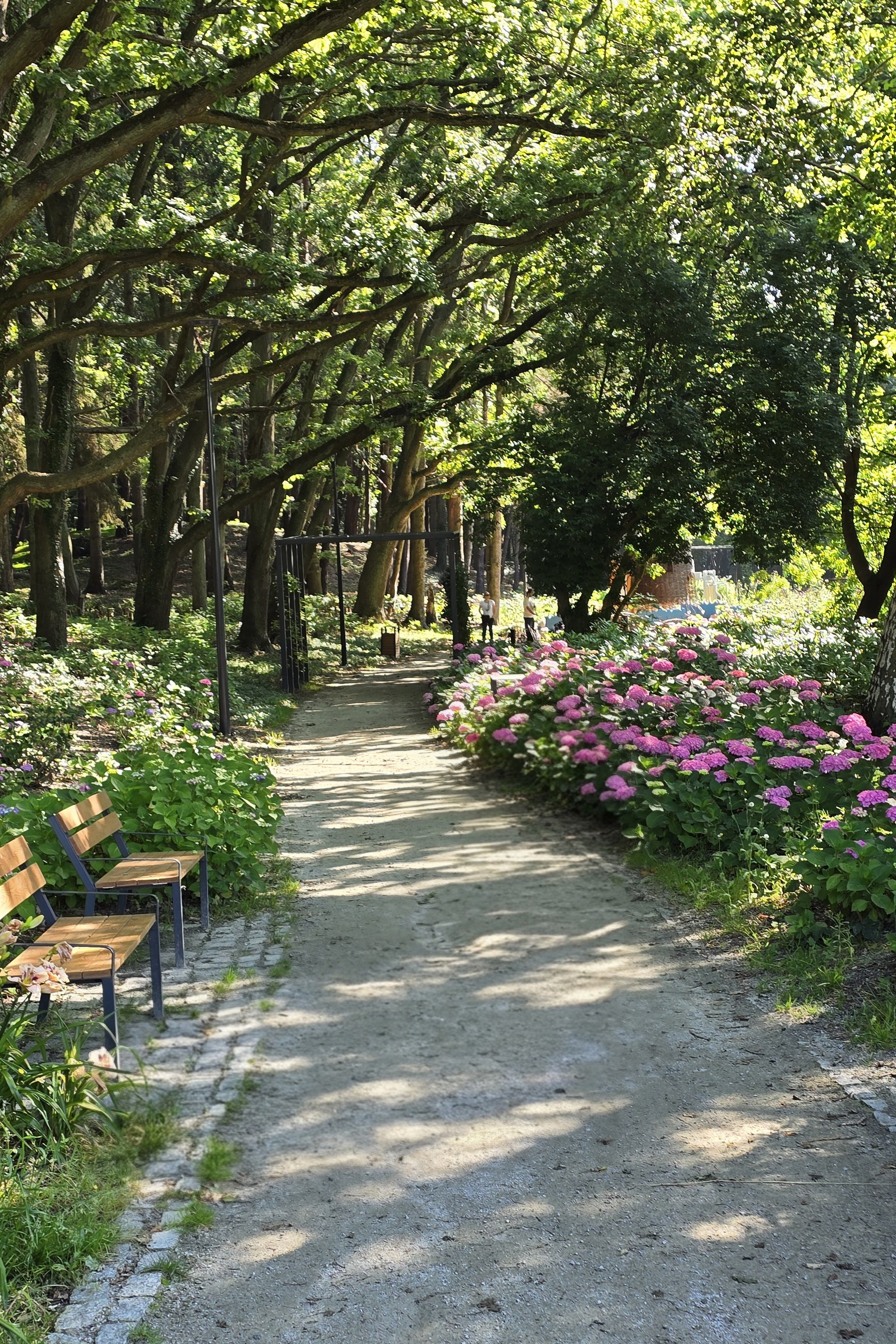 Park Miejski we Władysławowie